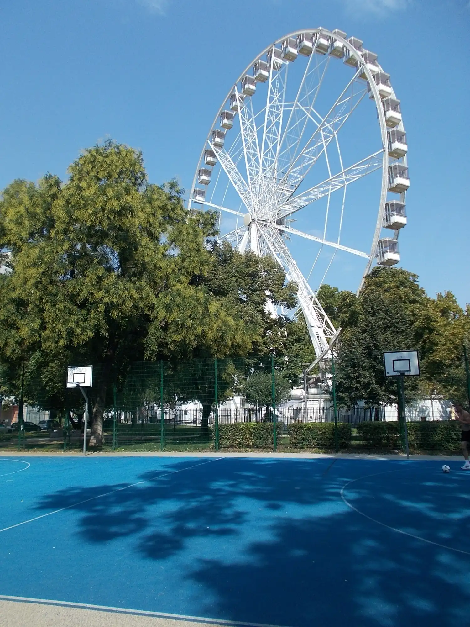 The Budapest Eye rising above the trees of Erzsébet tér on a sunny day, seen from the basketball court on the square