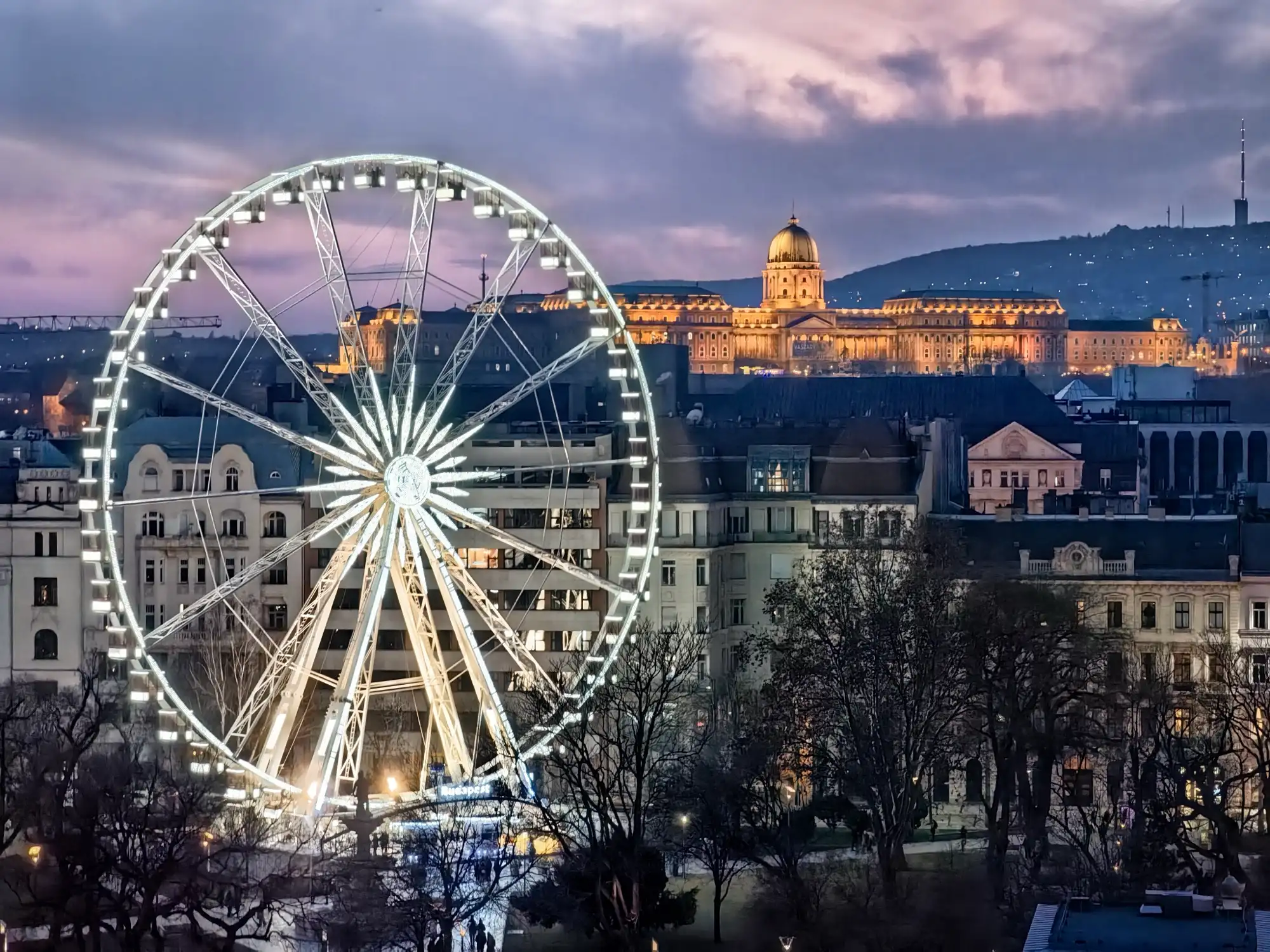 The Budapest Eye lit up at dusk over the trees of Erzsébet tér, with Buda Castle floodlit on the hill behind it