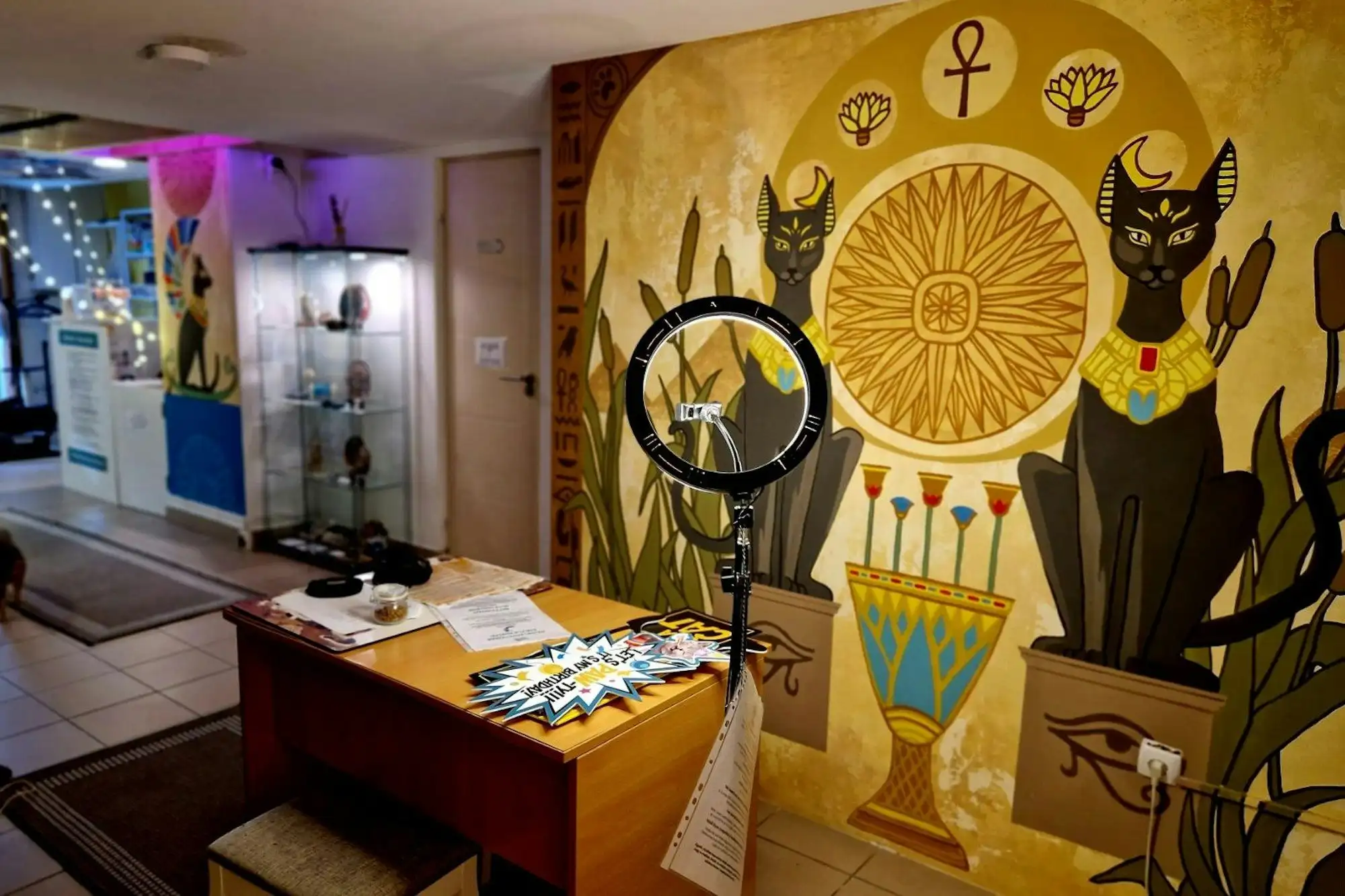 The Egyptian-style selfie wall at Cat Museum Budapest, painted with a gold sun disc and two black cats, with a ring light on a stand in front