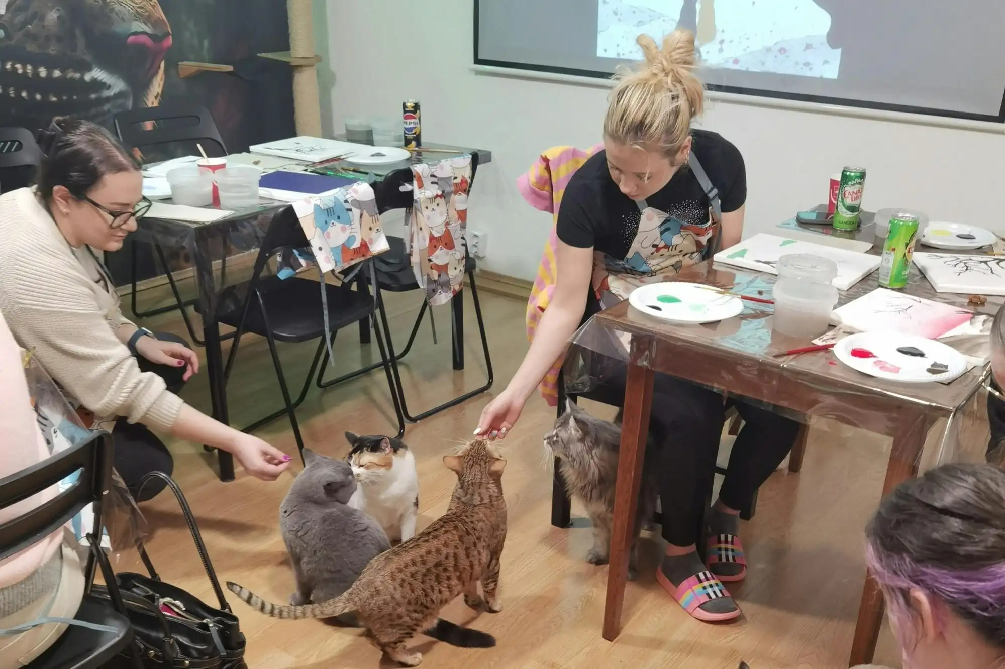 Painting workshop participants at tables of acrylics and canvases, reaching down to four of the resident cats on the floor at Cat Museum Budapest