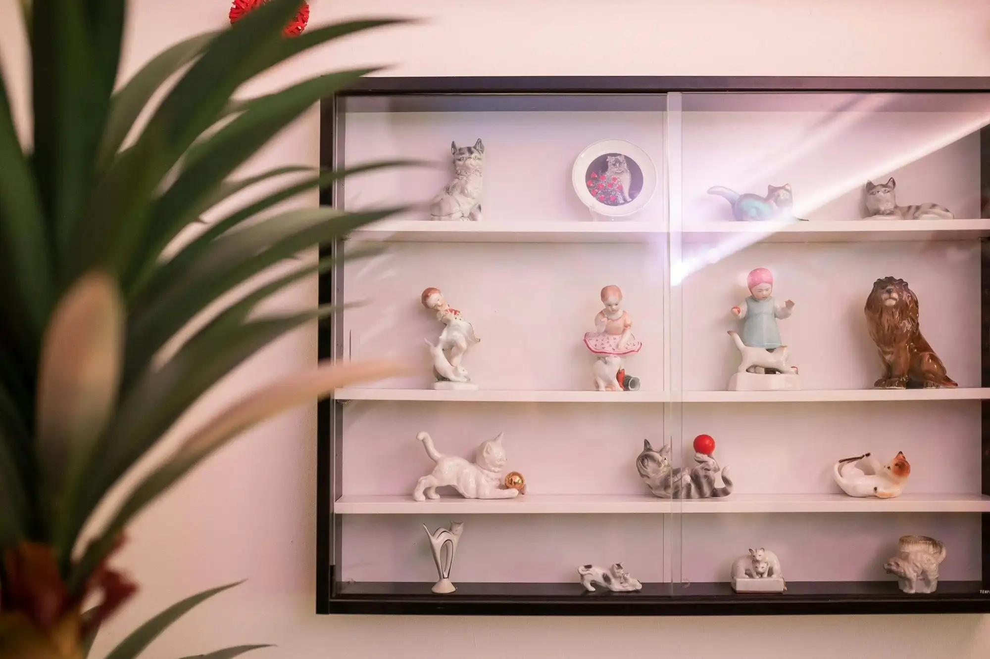 The glass case of porcelain cats upstairs at Cat Museum Budapest, with Zsolnay, Herend and Hollóháza figures on white shelves