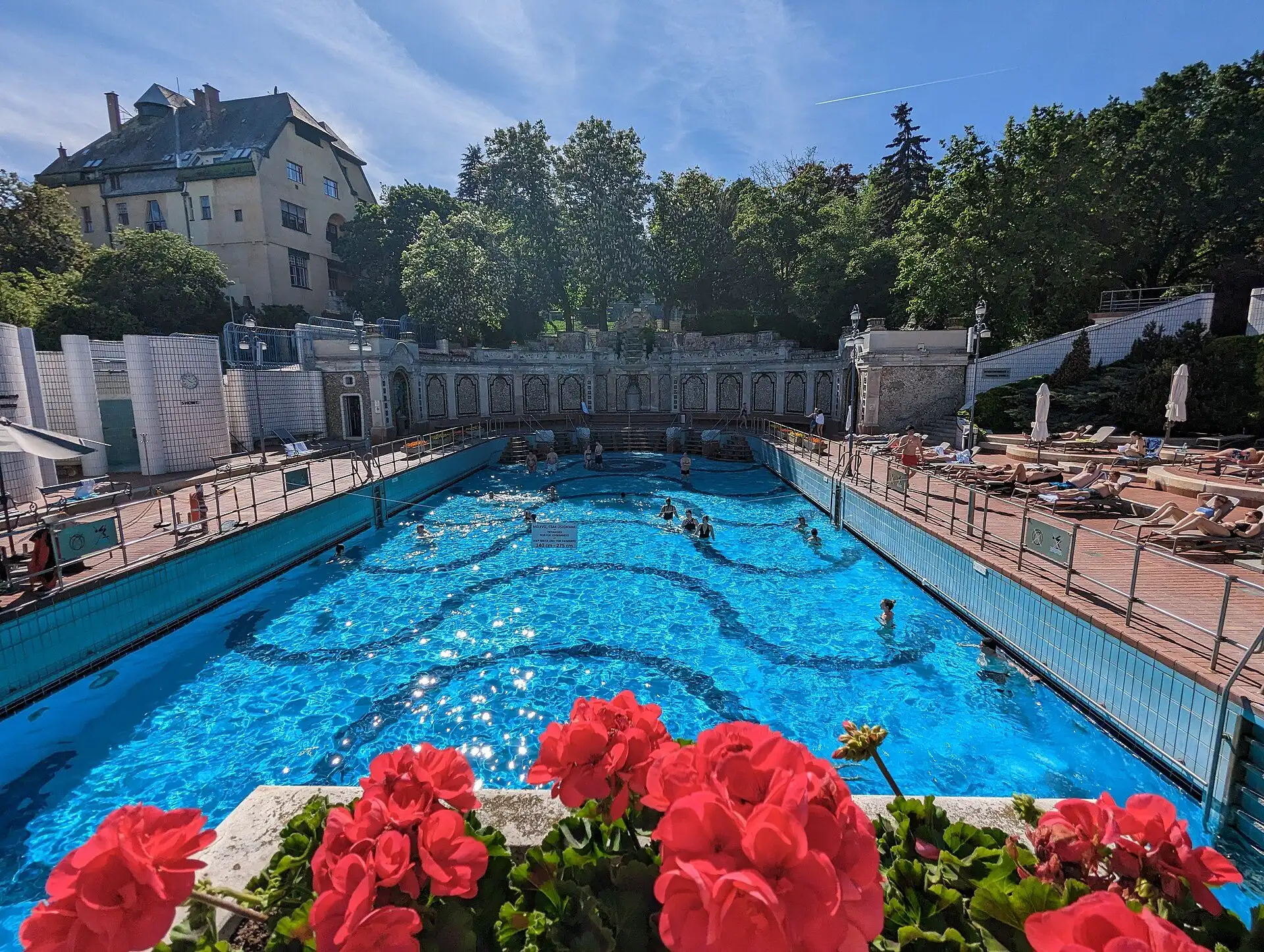 The outdoor pools at Gellért Thermal Bath on a summer day, with red geraniums in front, sun loungers along the side and the hotel's domes behind