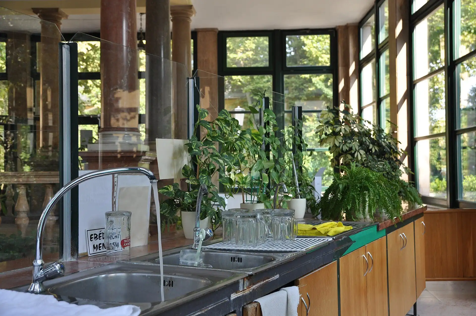 The counter of the drinking hall at Lukács Thermal Bath, with taps, glasses, potted plants and marble columns behind