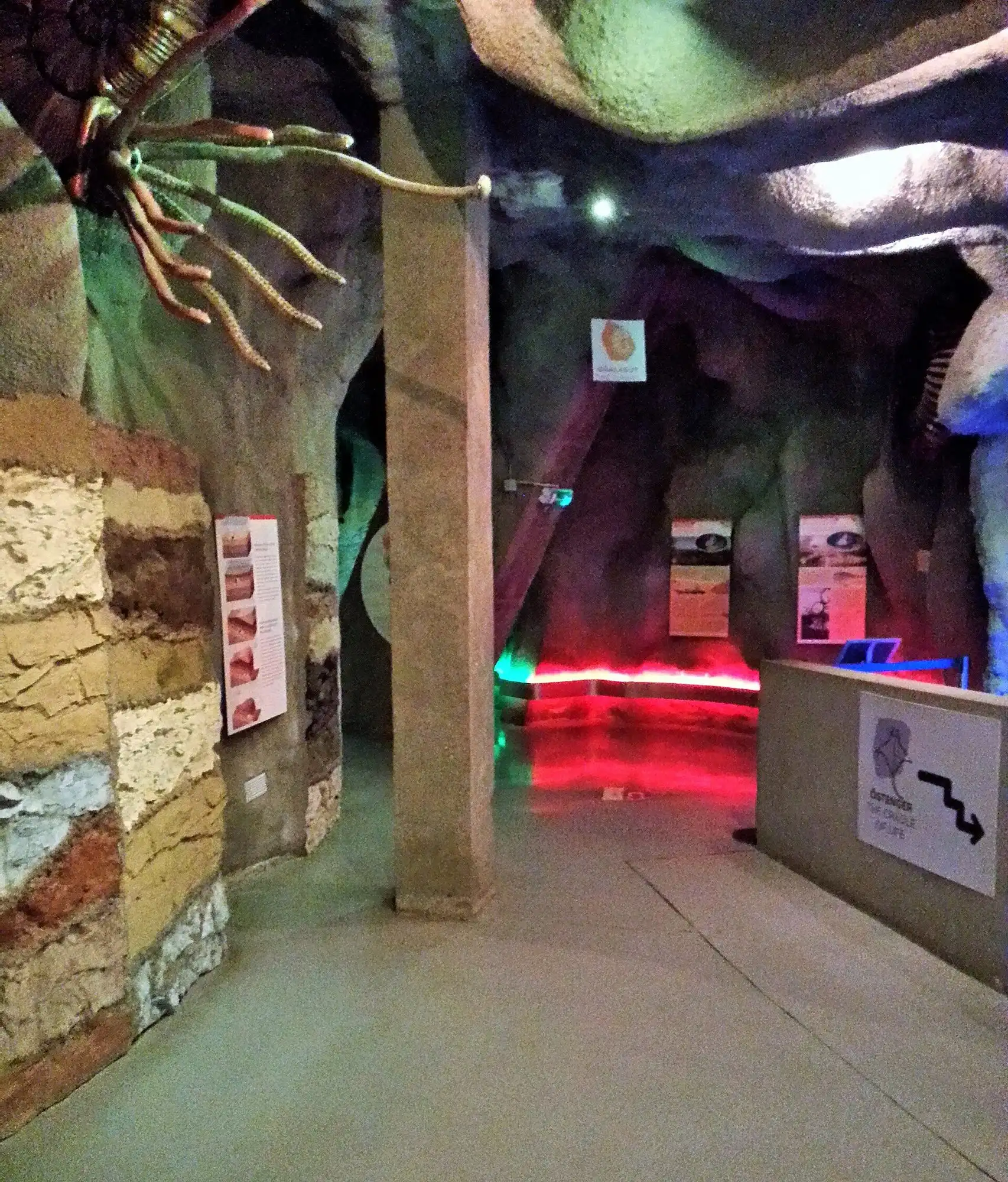 A themed exhibition hall inside the Magic Mountain at Budapest Zoo, with moulded rock walls, display panels and coloured lighting