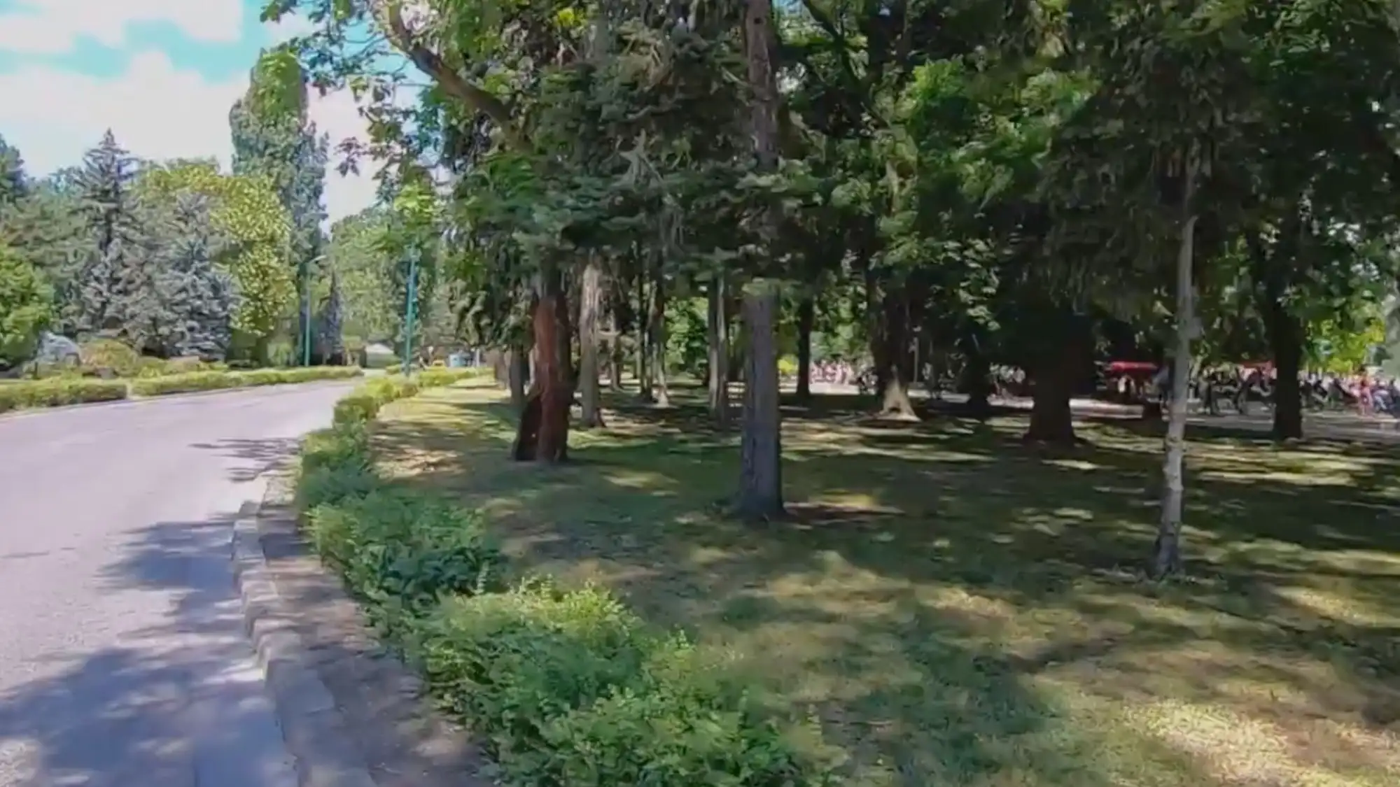 A tree-lined path on Margaret Island in Budapest, with sunlight filtering through the leaves and a paved walkway.