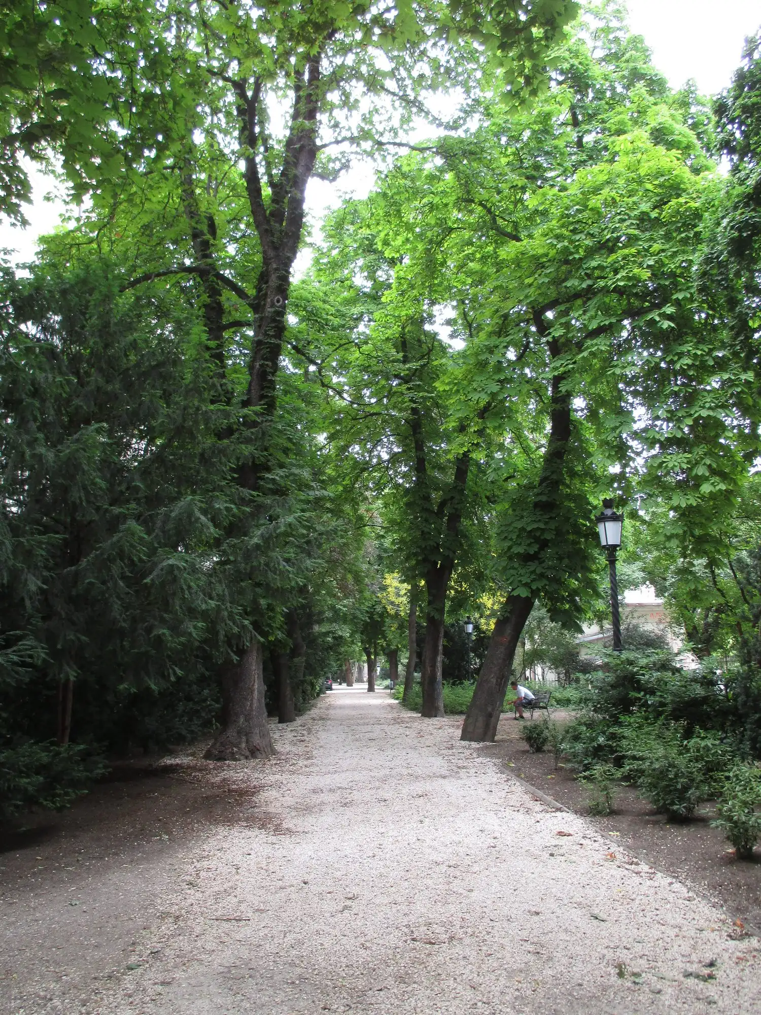 A gravel path under mature trees in the Museum Garden of the Hungarian National Museum