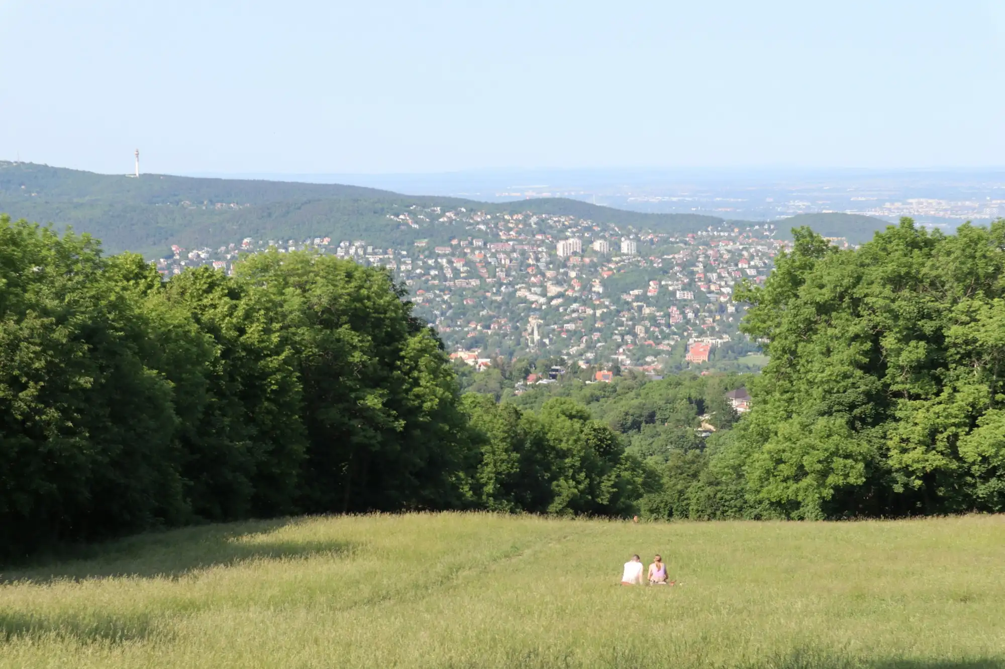 Two people sitting in the long grass of the Normafa meadow in the Buda Hills, looking out over wooded slopes and hillside houses