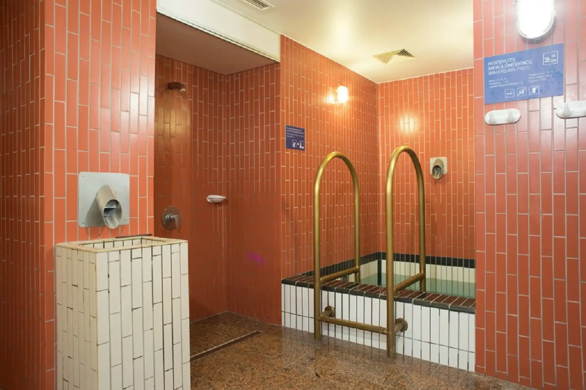 An indoor plunge pool at Palatinus, a small square pool with brass rails, set in terracotta tiled walls