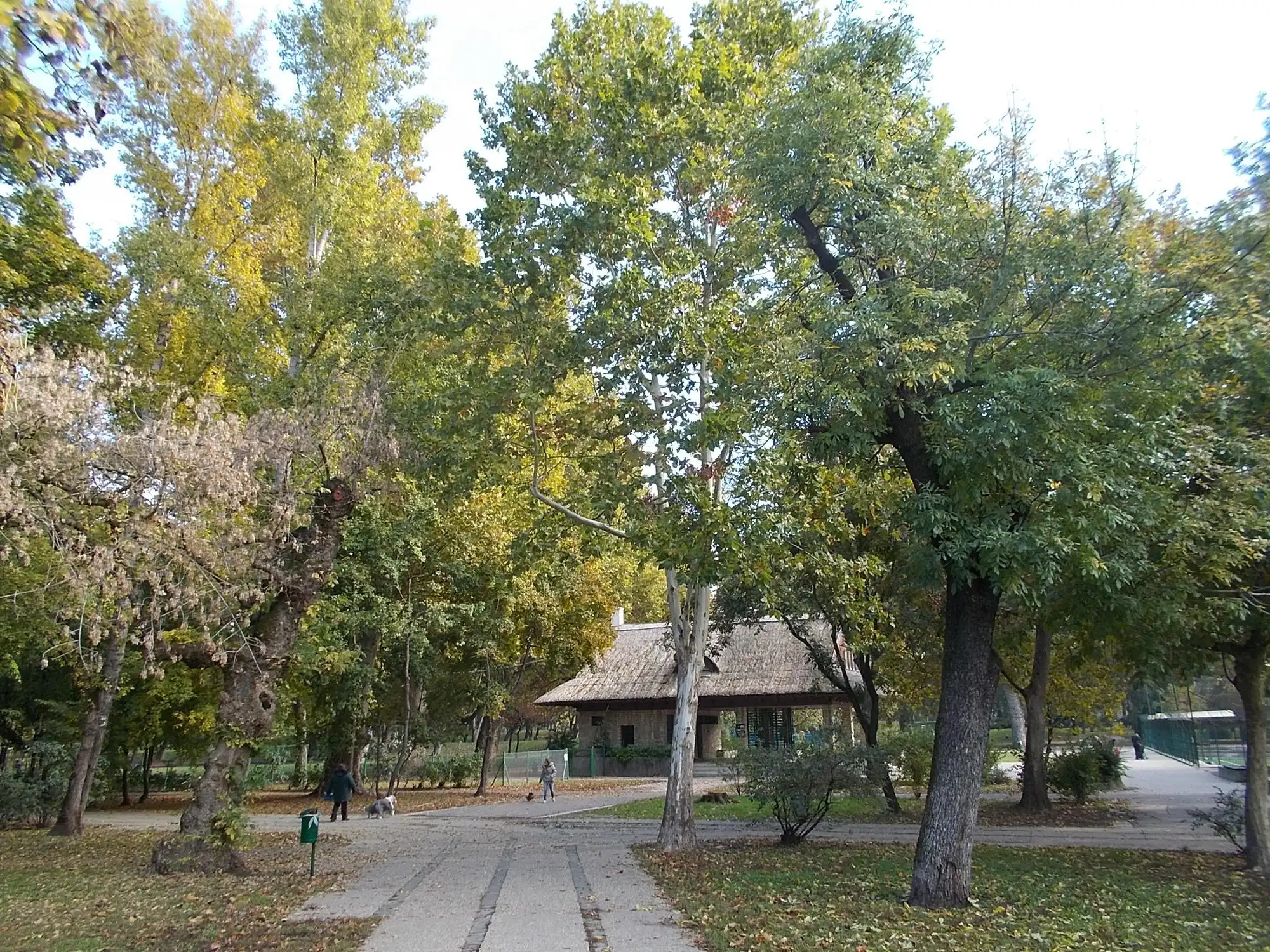 A wide tree-lined path leading into Budapest's City Park from the Dembinszky street entrance, with autumn leaves on the trees and a pavilion among them