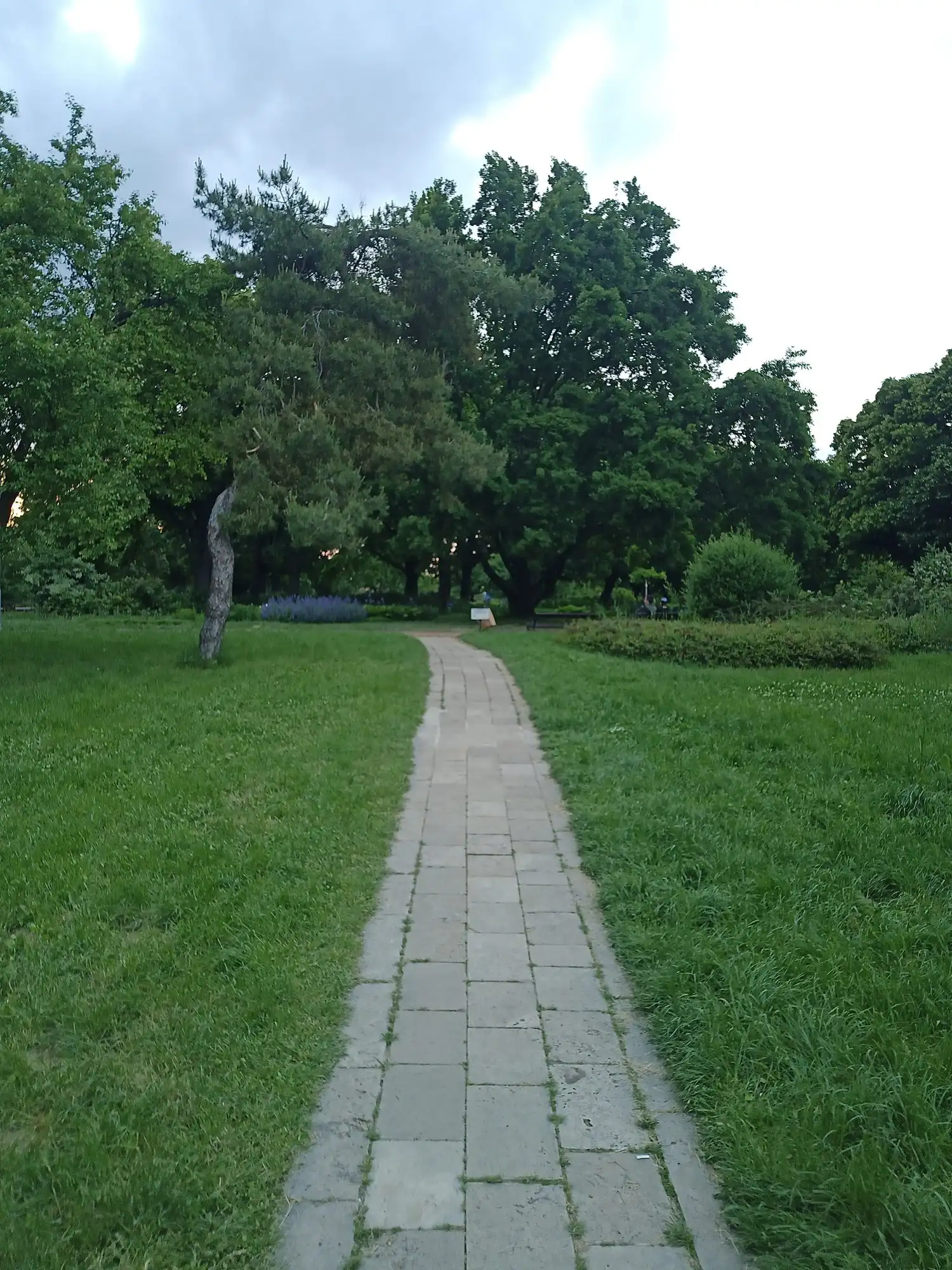 A narrow paved path crossing the grass and trees of the open parkland on Gellért Hill