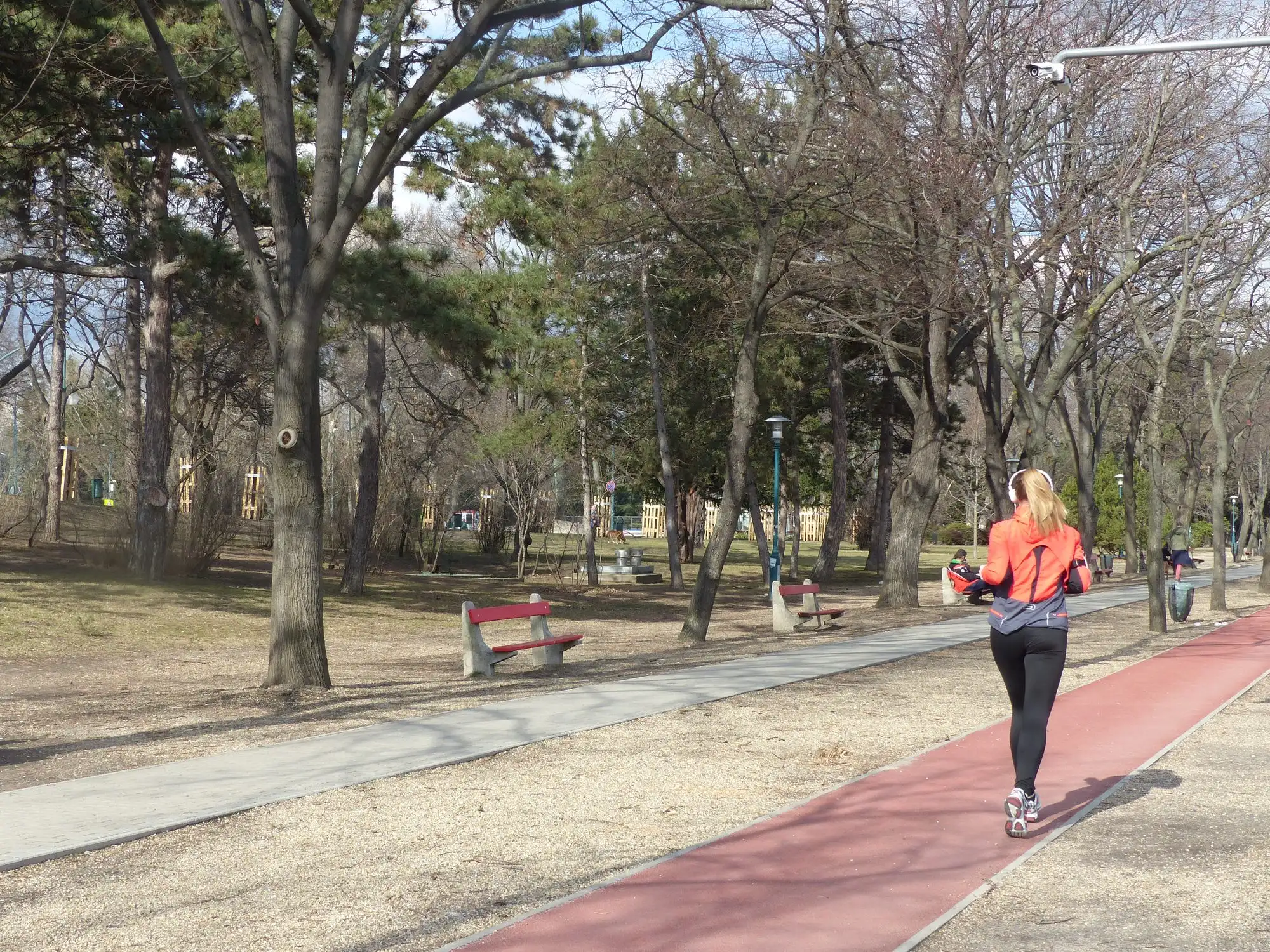 The red tartan running track on Margaret Island with a runner on it, a paved footpath beside it and pine trees behind
