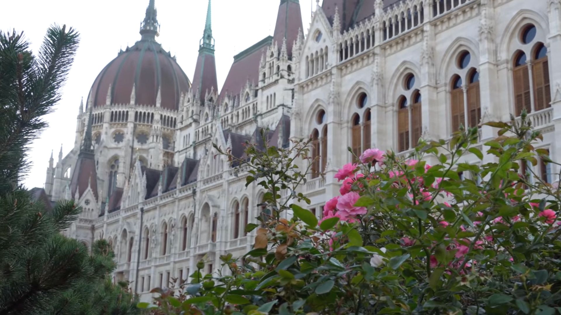 Side view of the Hungarian Parliament Building with gothic architecture and dome, framed by blooming pink flowers and green foliage.