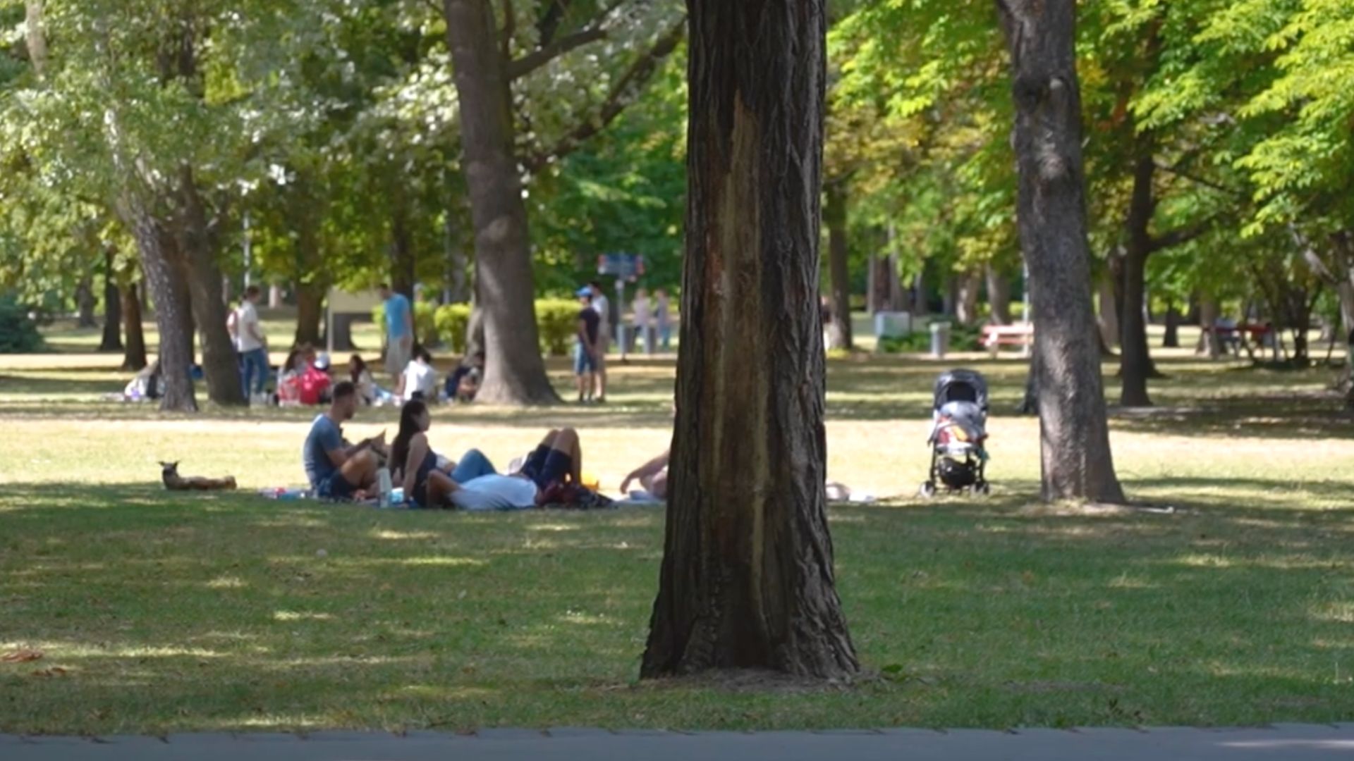 People relaxing and having a picnic in a green park on Margaret Island in Budapest, with trees and a stroller in the background.