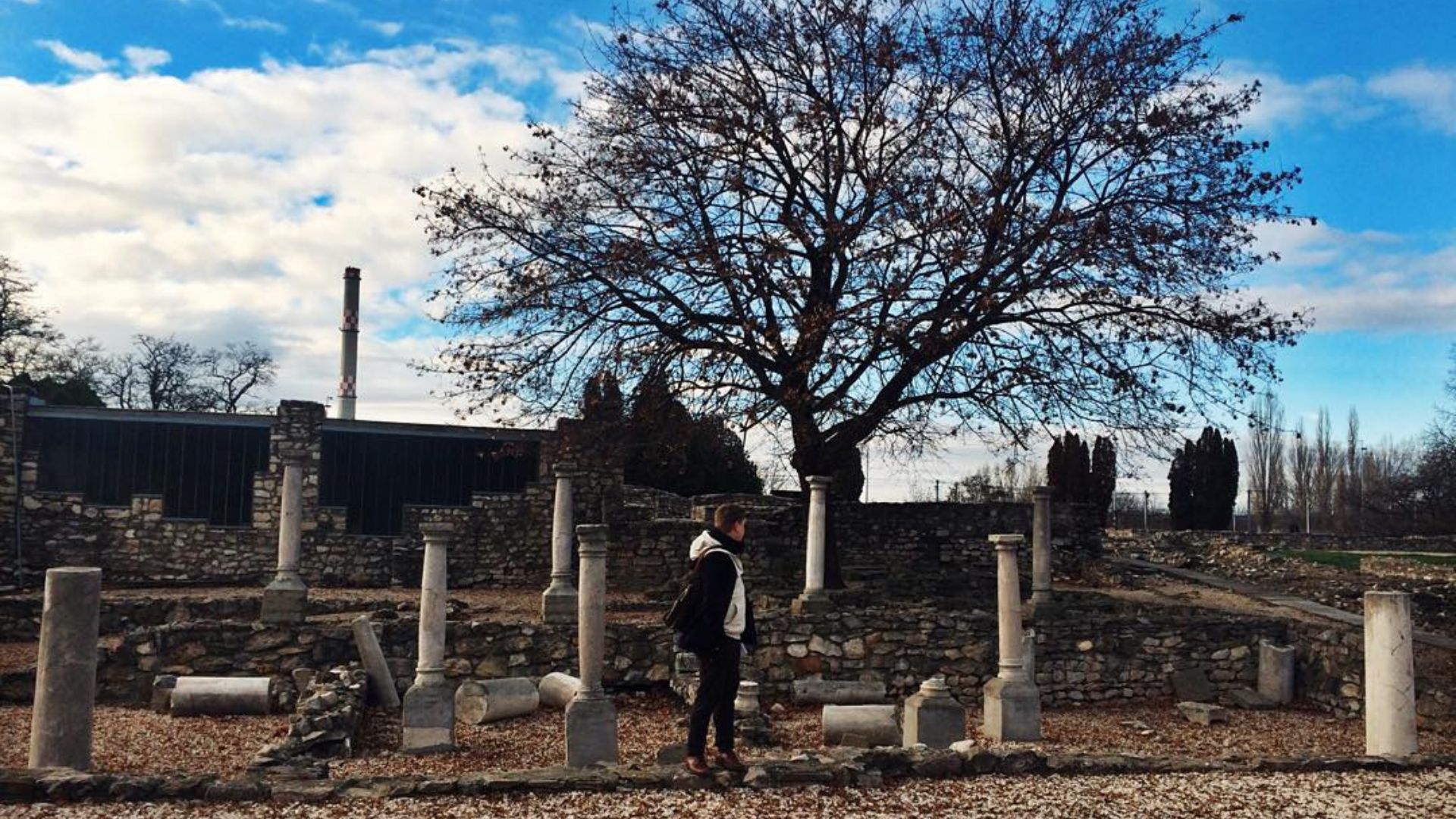 Roman ruins at Aquincum with scattered stone columns and a person walking near a large bare tree under a partly cloudy sky.